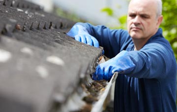 cleaning and inspecting Mickley Green roofs